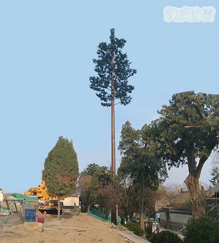 25׷(sh).jpg